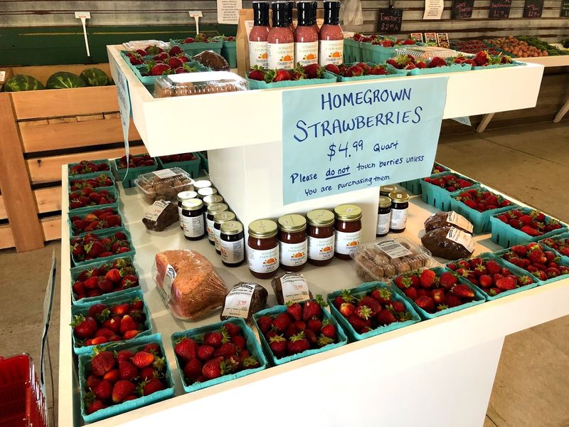 Schaefer's Farm Market & CSA, Trenton, OH