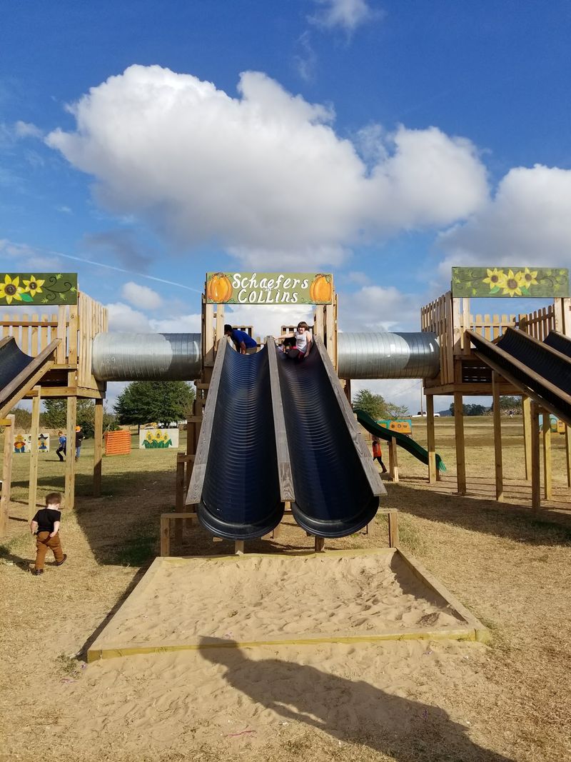 Schaefer's Pumpkin Patch, Mayflower