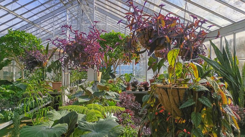 Kingwood Center Gardens, Mansfield, OH