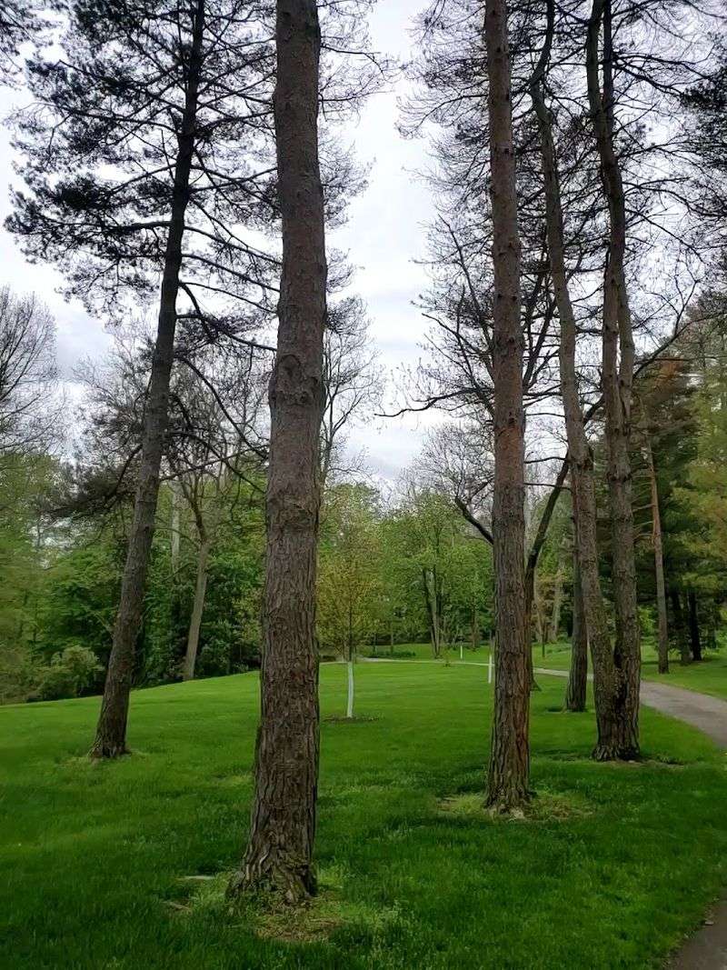 Schoepfle Garden, Wakeman, Ohio