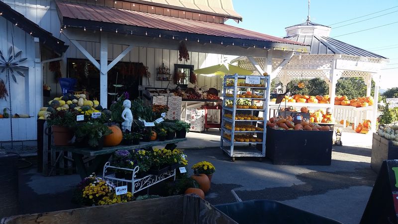 Schuh Farms, Mount Vernon, WA