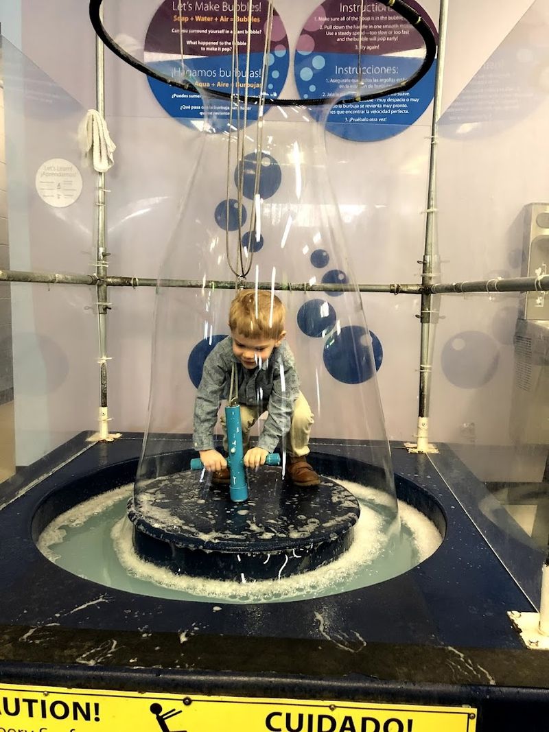 Science Exhibits That Turn Curiosity Into Action