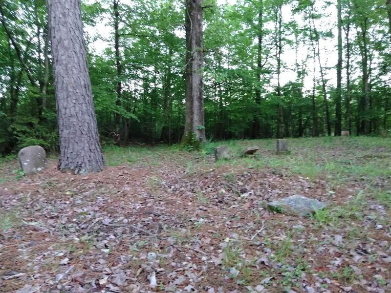 Nighttime Visitors Return Hoping To See It Again