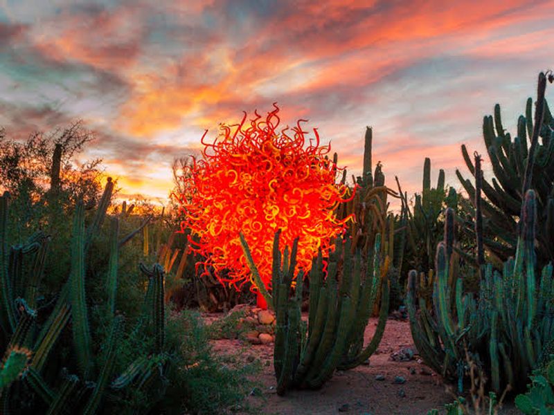 Phoenix ZooLights and Desert Botanical Garden