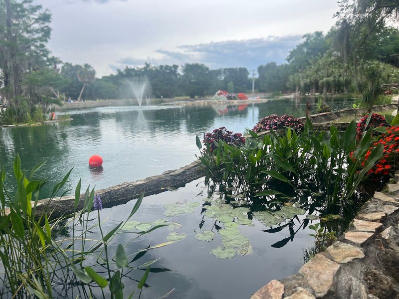 Camping Right Next To The Spring