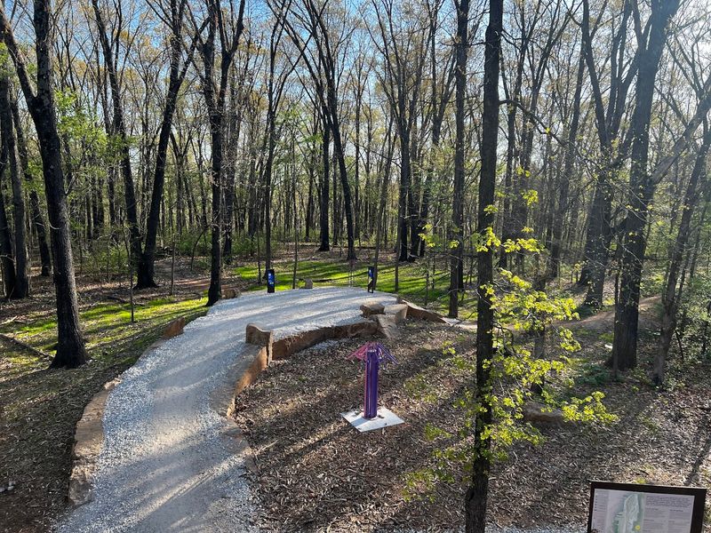 Forest Calm That Feels Miles From Everything