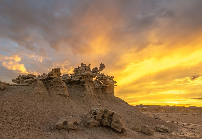 Golden Hour Plates The Light