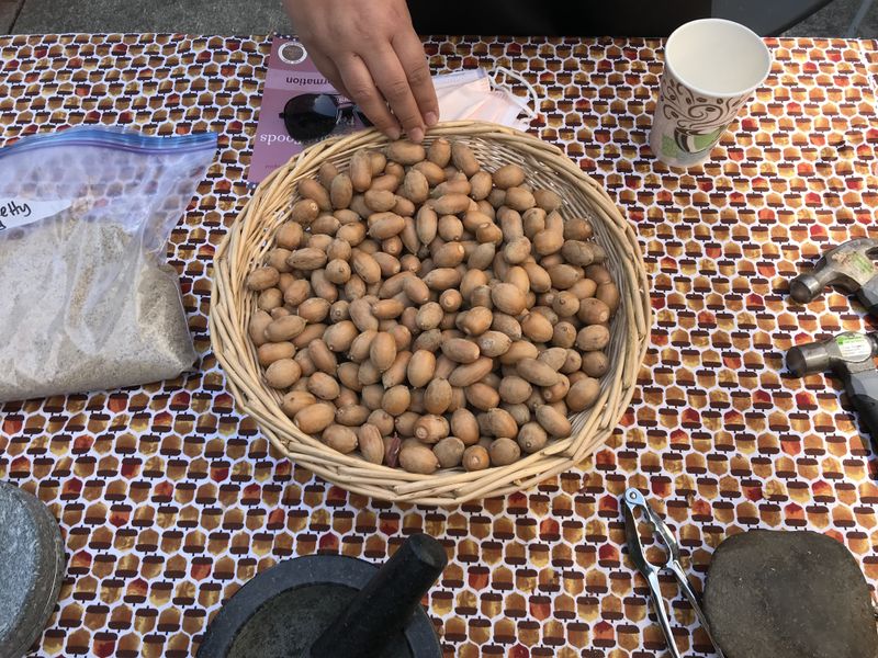 Indigenous Food Revivalists