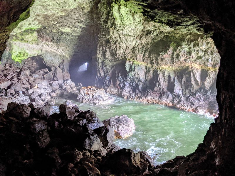 Sea Lion Caves