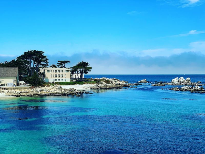 Sea Otters, Cannery Row, And Pure Magic