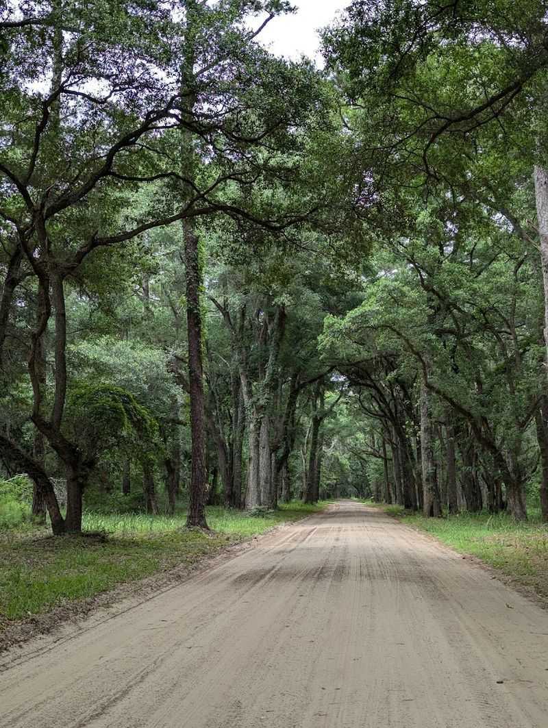 Planning Your Visit The Smart Way