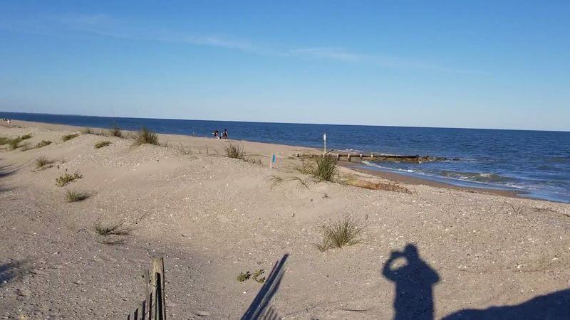 Sea Turtle Activity That Gives The Park A Special Kind Of Magic
