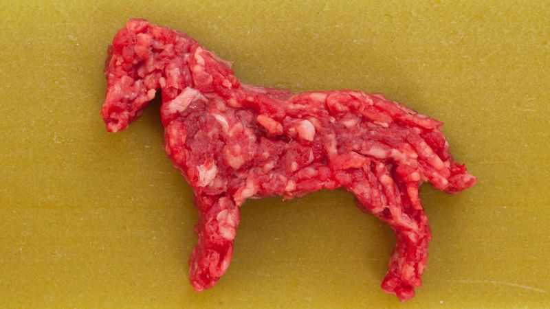 Horse Meat: America's Equine Taboo