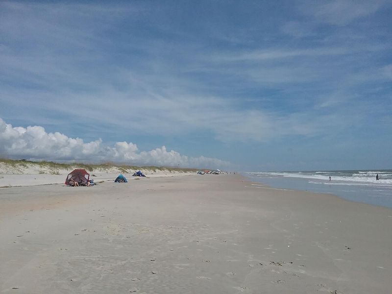 Sea Turtles Nest Along The Protected Beach