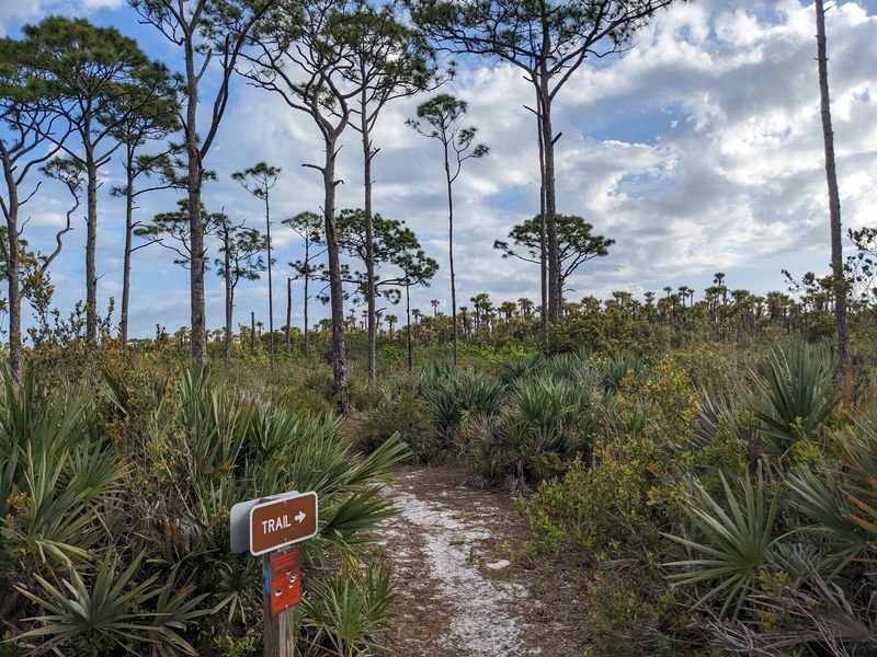 Seabranch Preserve State Park