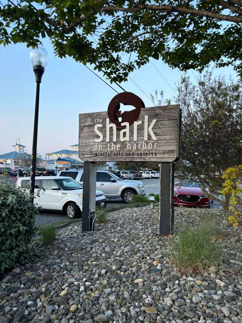 The Shark on the Harbor – West Ocean City