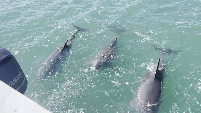 Boat Tours And Water Adventures For Everyone