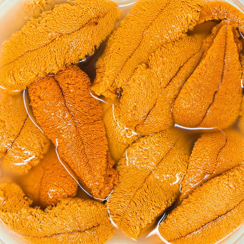 California Sea Urchin (Uni)