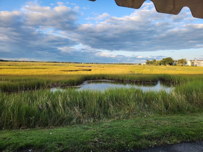 Seafood With A Salt Marsh View