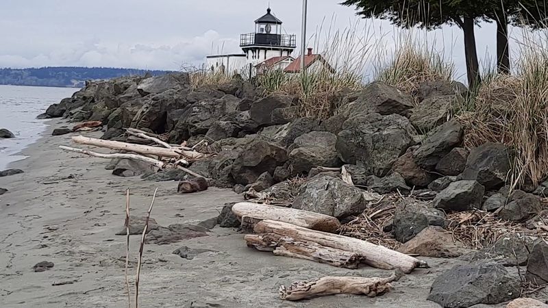 Seals, Otters, And Whales Making Cameo Appearances
