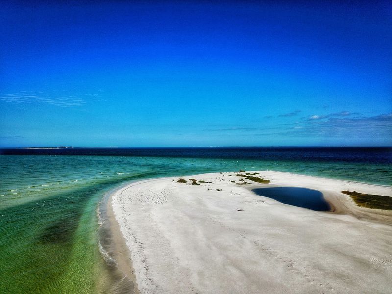 Seashell Hunting Paradise