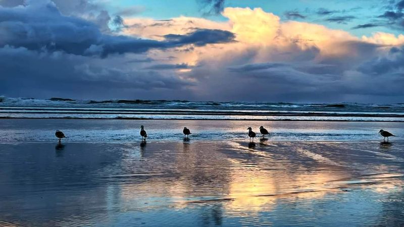 Cannon Beach, Oregon, OR 97110