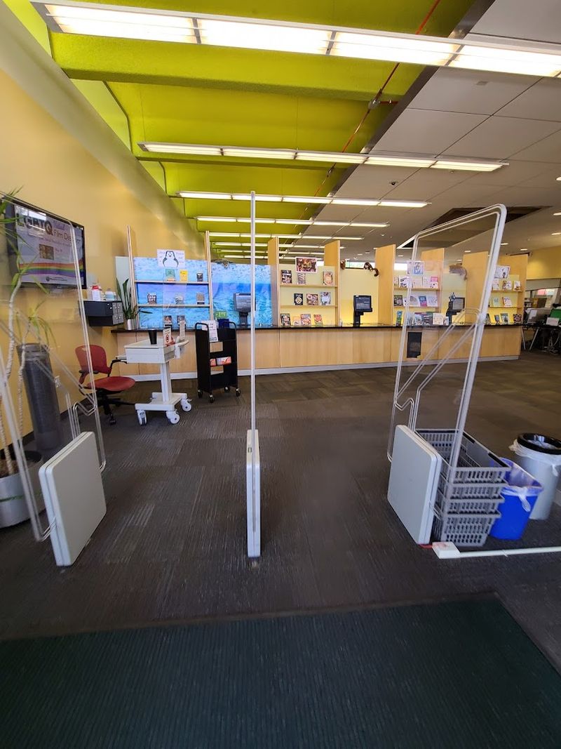 Soundtrack Of A Library Day