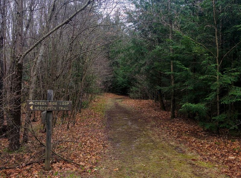 Trail Difficulty And Accessibility For All Skill Levels