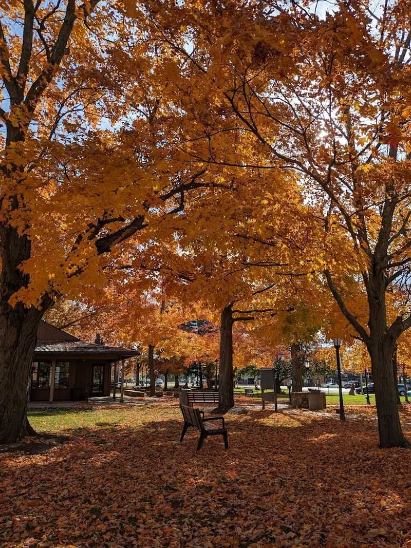 Seasonal Beauty That Changes With Every Visit Seasonal Beauty That Changes With Every Visit