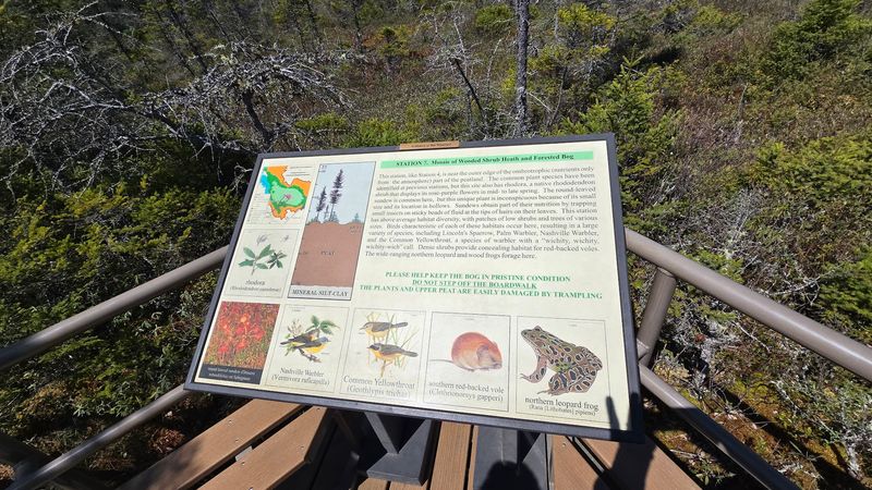 Educational Signs That Turn A Walk Into A Learning Adventure