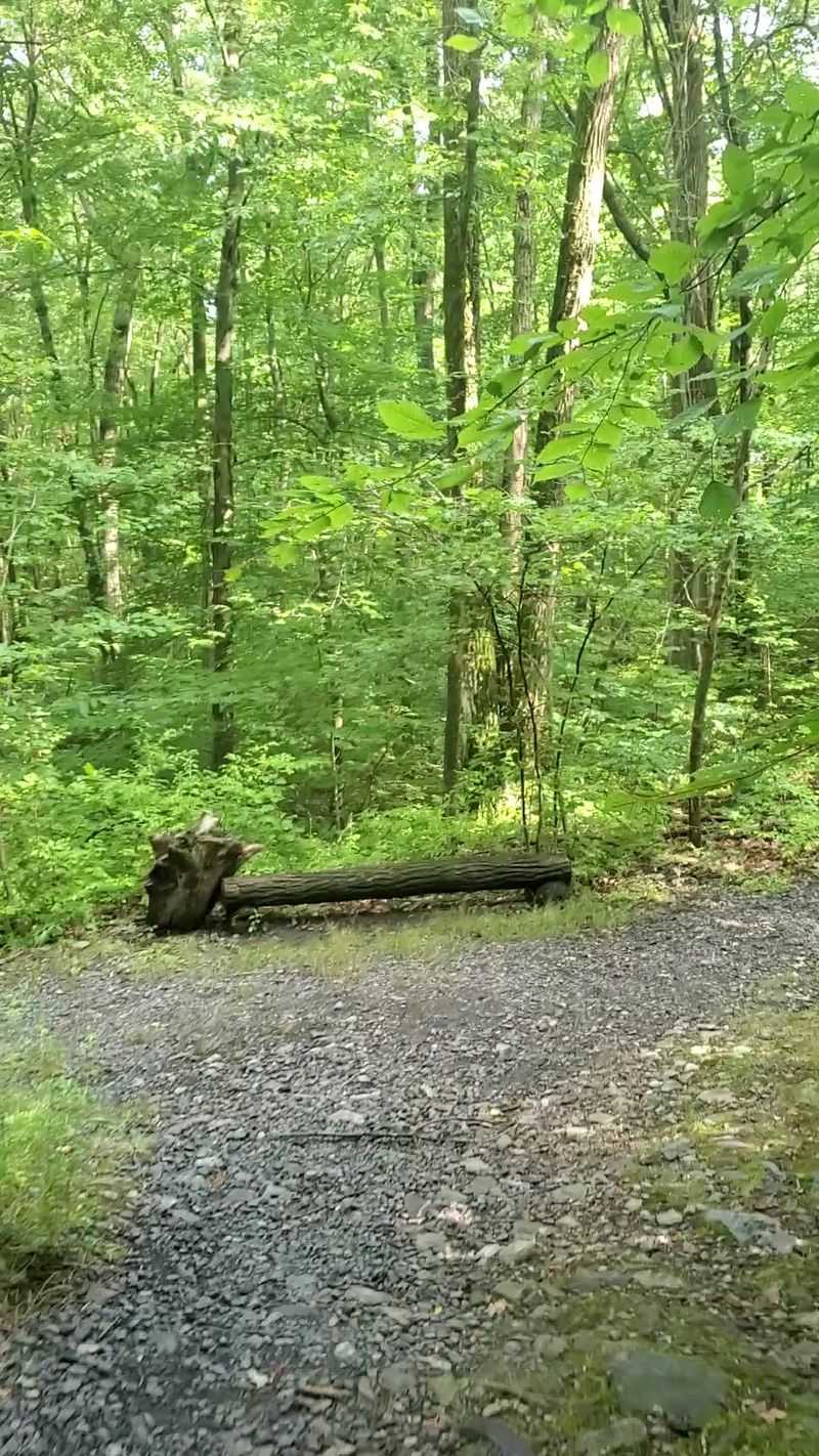 Practical Details for Your Visit