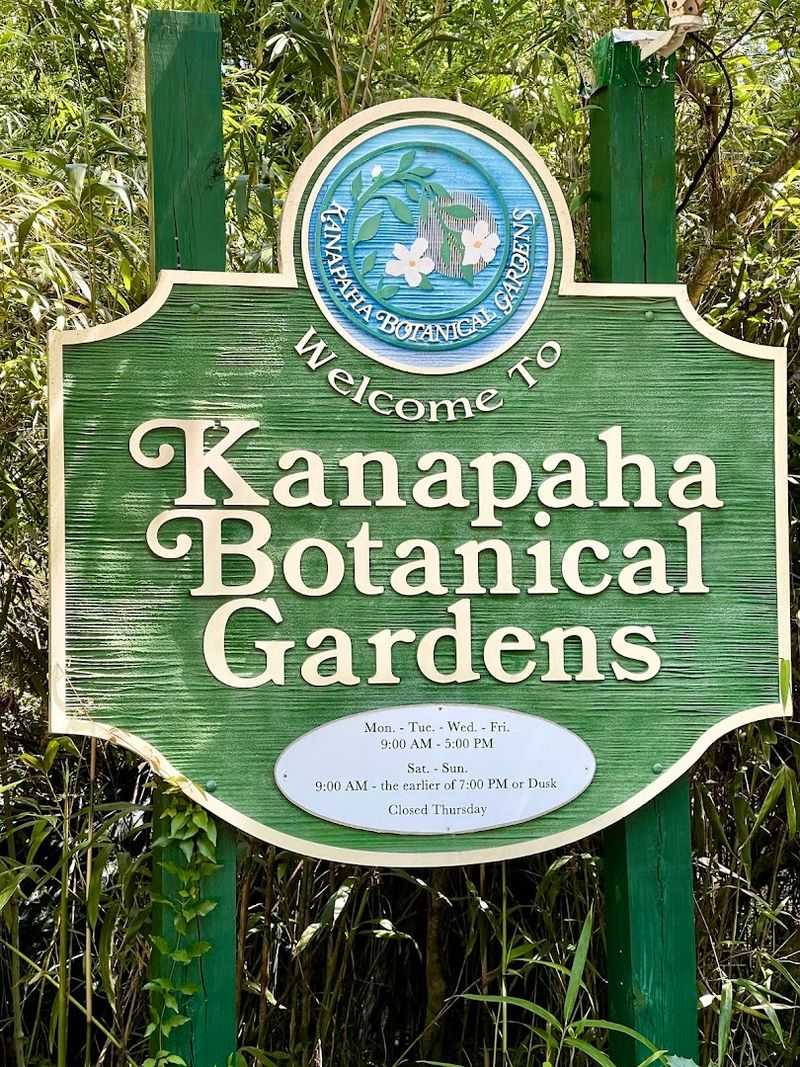 Family-Friendly Playground And Open Spaces