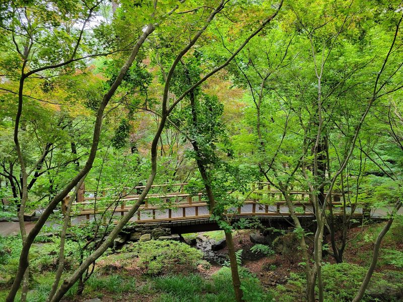 Peaceful Trails Along The Shores Of Lake Hamilton