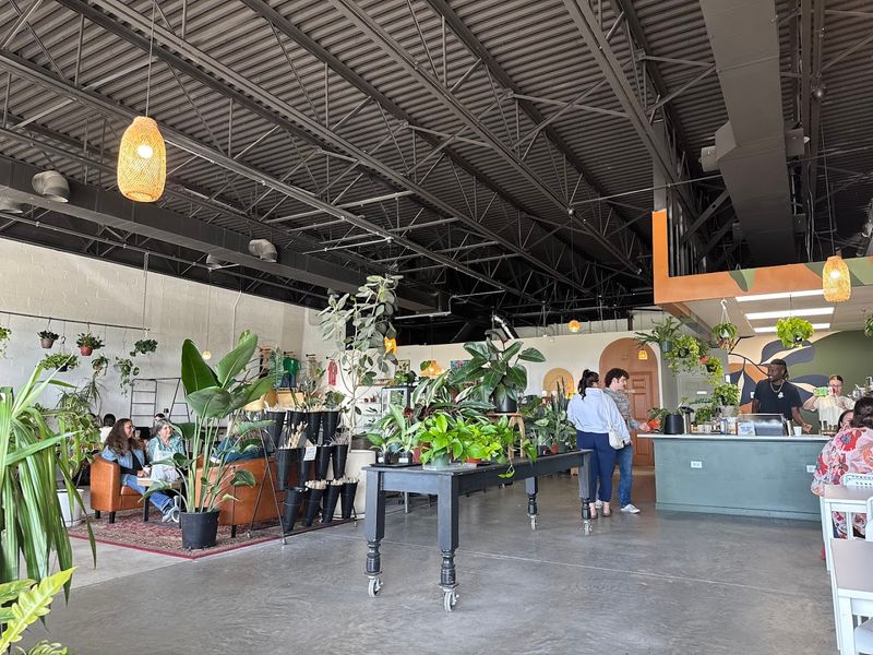 Outdoor Sections Add A Whole New Layer Of Discovery