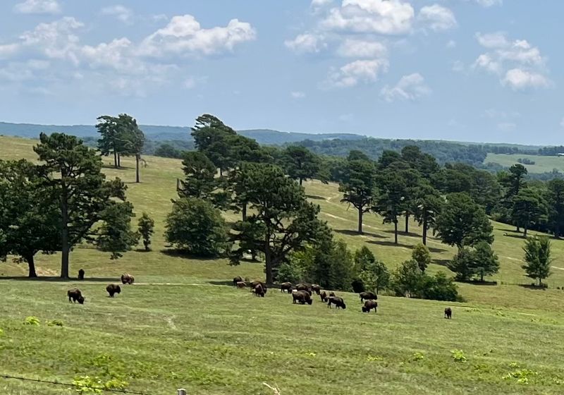 Hilltop Vistas Over Expansive Grazing Lands