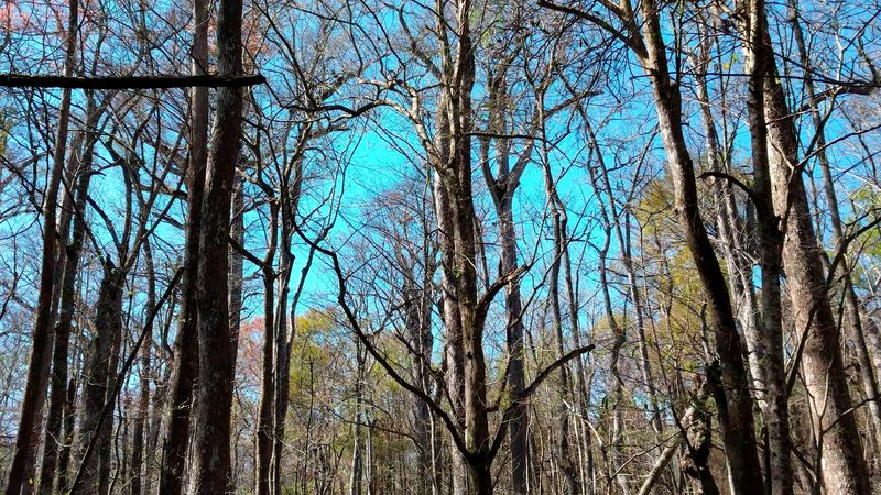 Educational Programs Deepen Understanding