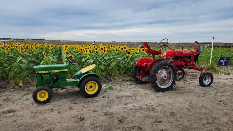 Family-Friendly Atmosphere Without The Fuss