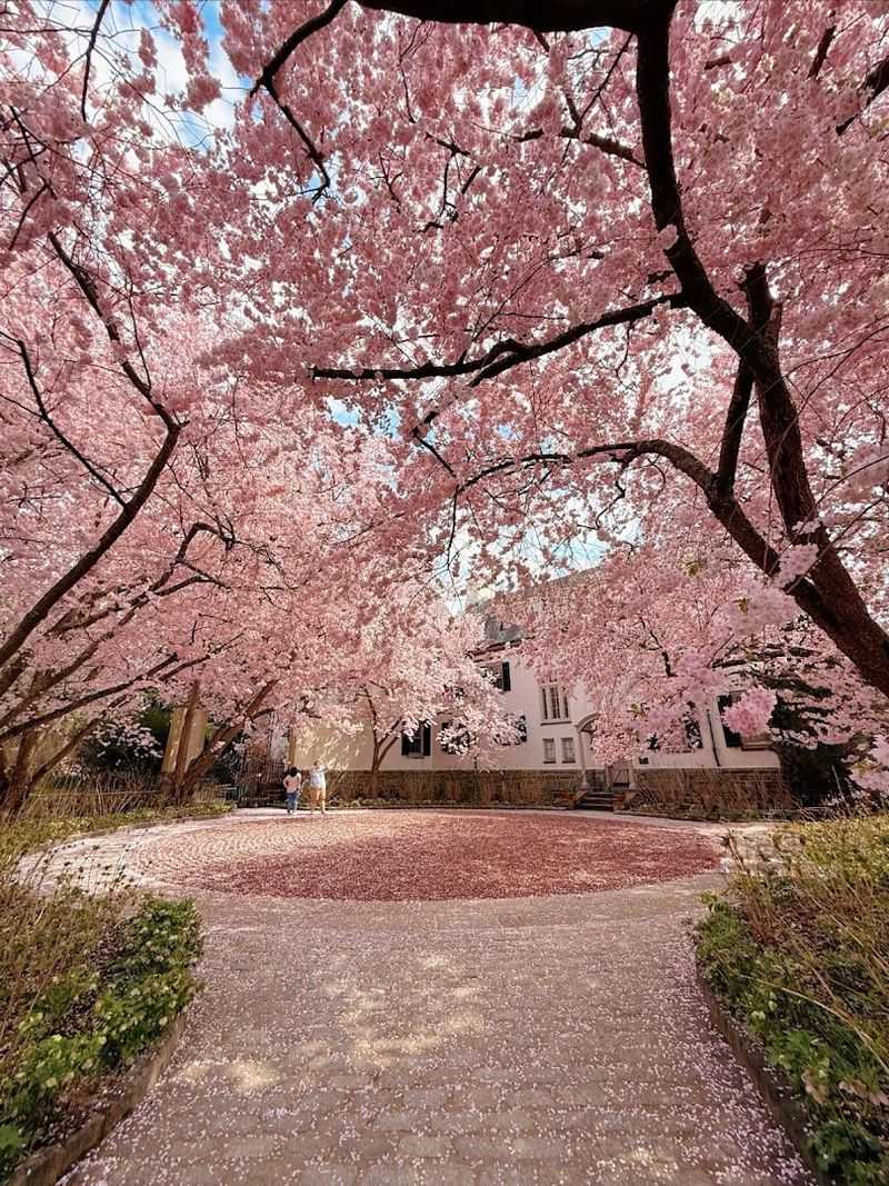 Seasonal Changes That Make Every Visit Feel New Seasonal Changes That Make Every Visit Feel New