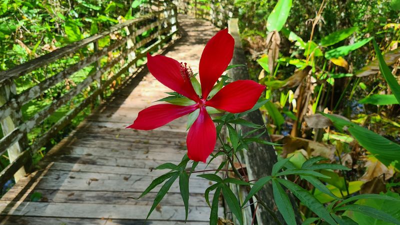 Educational Signage Enriches Every Step