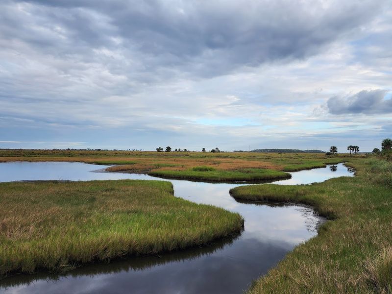 Seasonal Changes Transform The Landscape