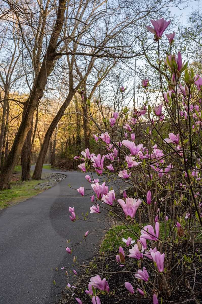 Seasonal Changes Transform The Whole Mood