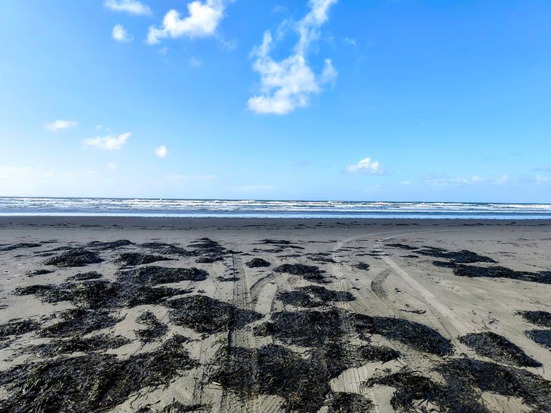 Seasonal Clamming And Crabbing Experiences