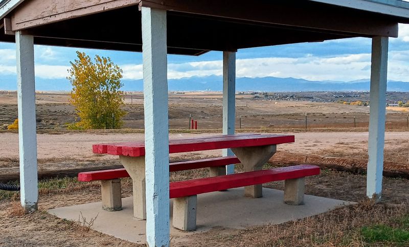 The Picnic Area: Honest Assessment