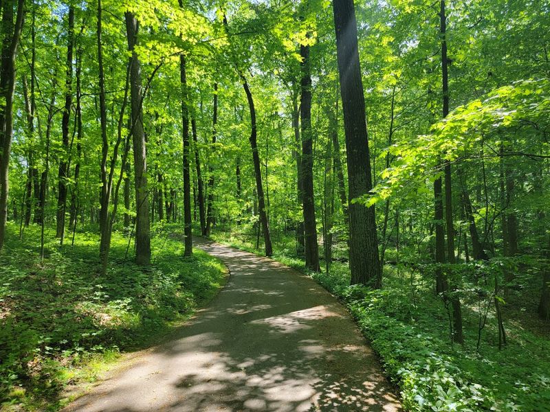 Wayfinding And Access Made Easy