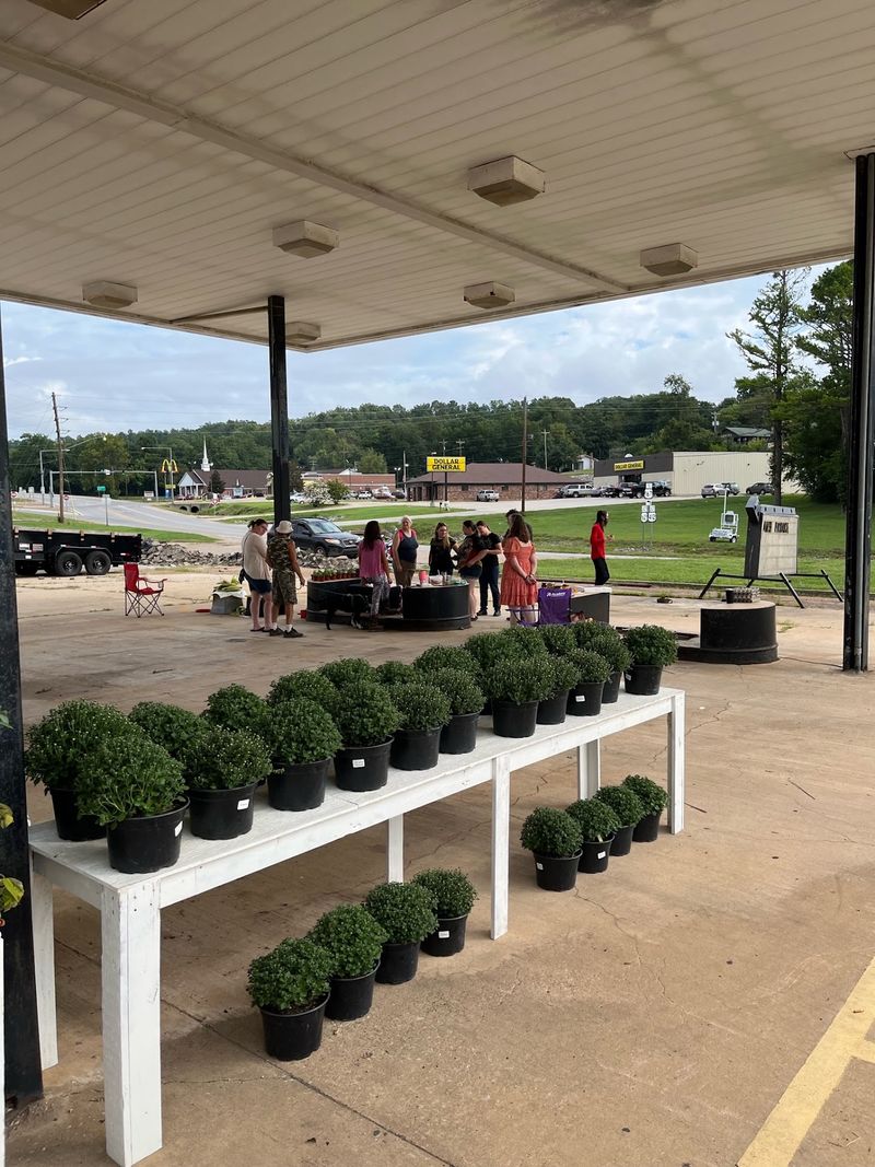 Seasonal Displays Spill Outdoors