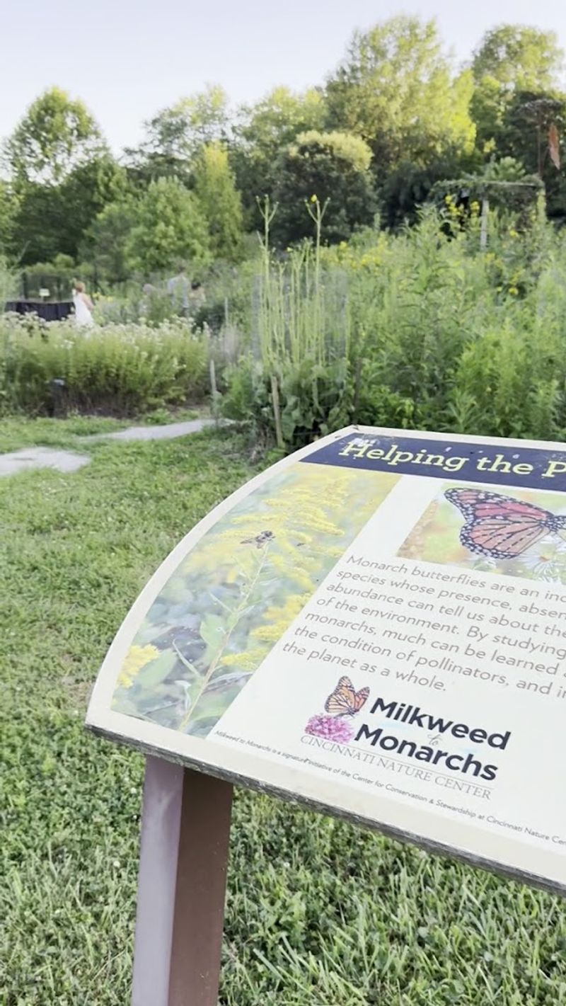 The Outstanding Pollinator Garden And Seasonal Blooms