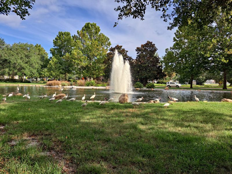 Tips For Visiting With Kids (From Florida Families)