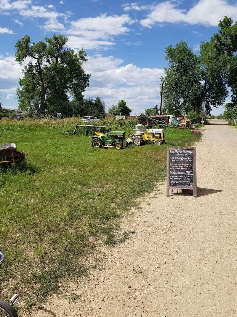 Final Verdict: The Kind of Place Longmont Keeps to Itself