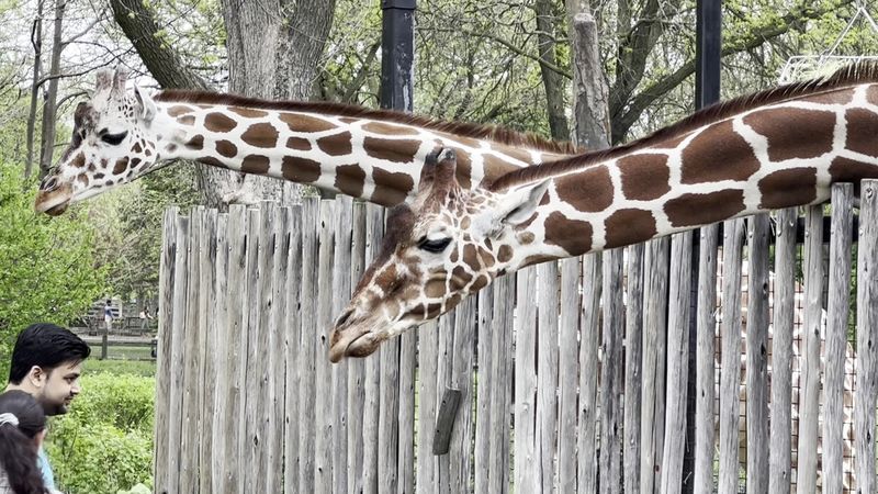 Conservation and Education Mission