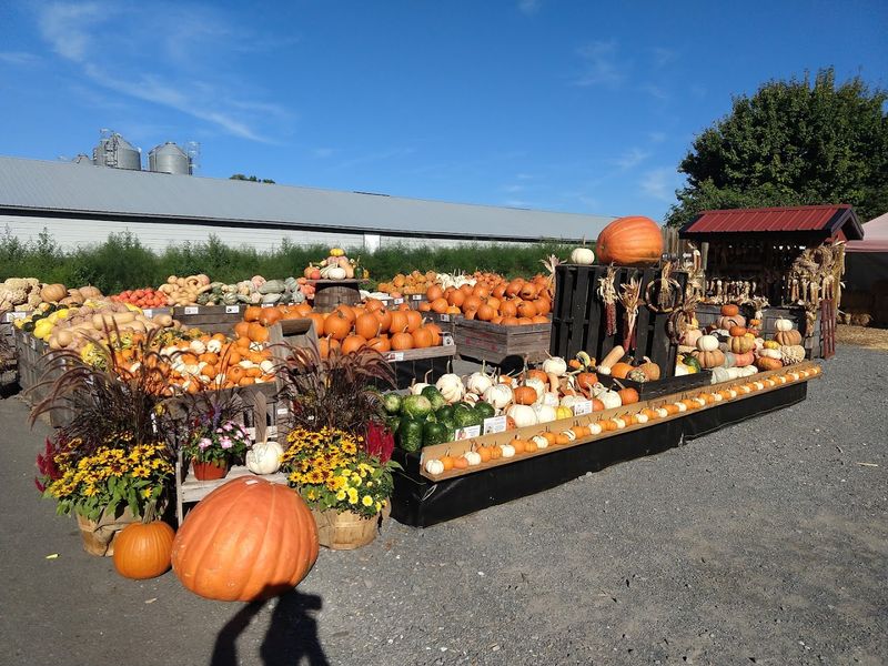 Seasonal Festivals Make Every Visit Feel Different